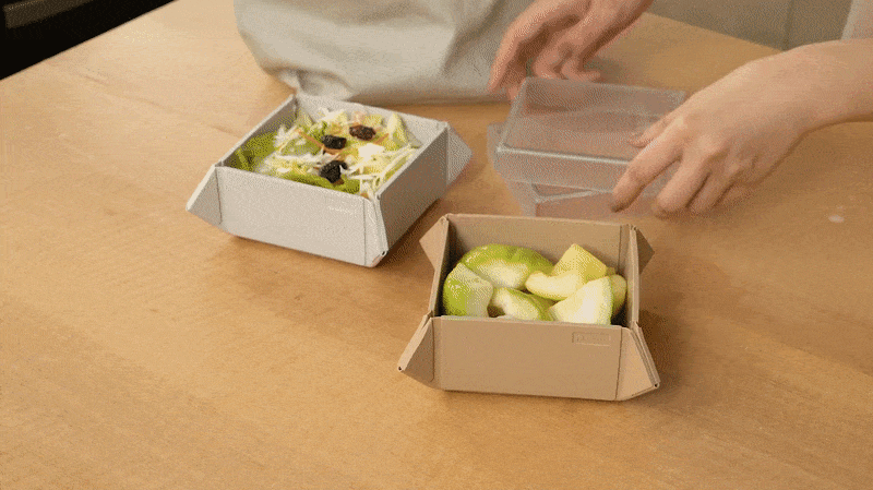 FoldiBox with Clear Lid. Food container placement Pet bowl - Lunch Boxes - Silicone Gray